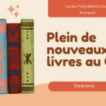 Le CDI du lycée Louis Armand fait le plein de livres pour la nouvelle année !