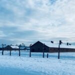 Voyage de mémoire à avec la TG3 : une expérience marquante